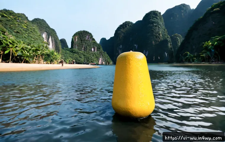 Quy trình xây dựng hương vị hải sản thực vật: từ nguyên liệu đến thử mẫu thương mại 4 식물성 해산물의 맛 프로파일 개발 방법 관련 이미지 2
